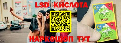 apvp Ярославль