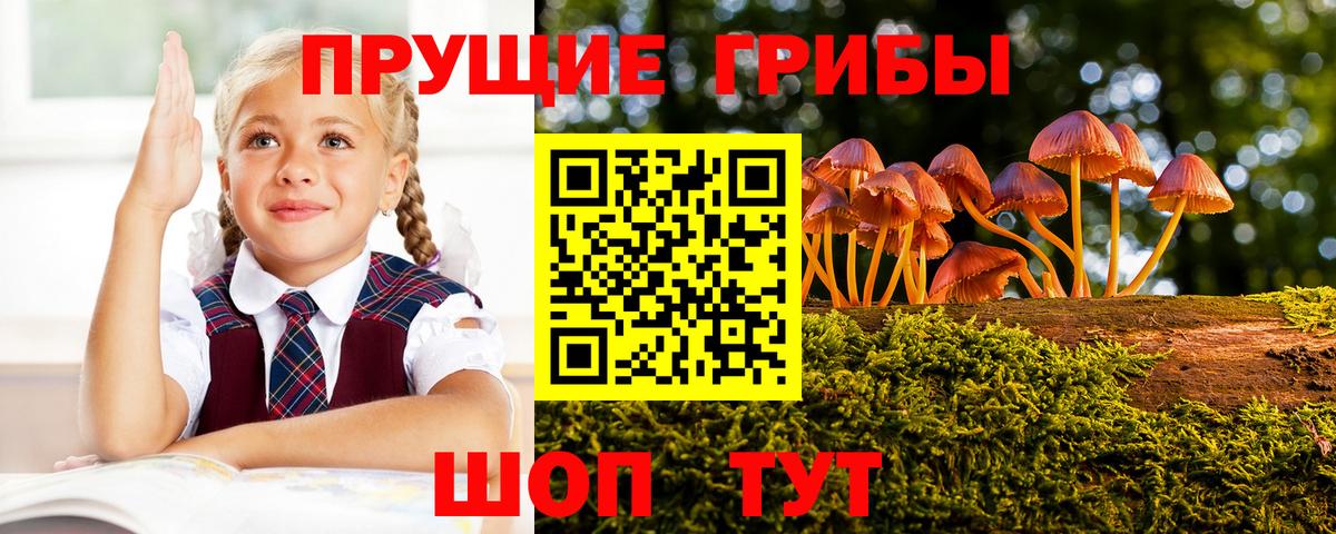 Галлюциногенные грибы GOLDEN TEACHER  Вход с VPN  Владикавказ 